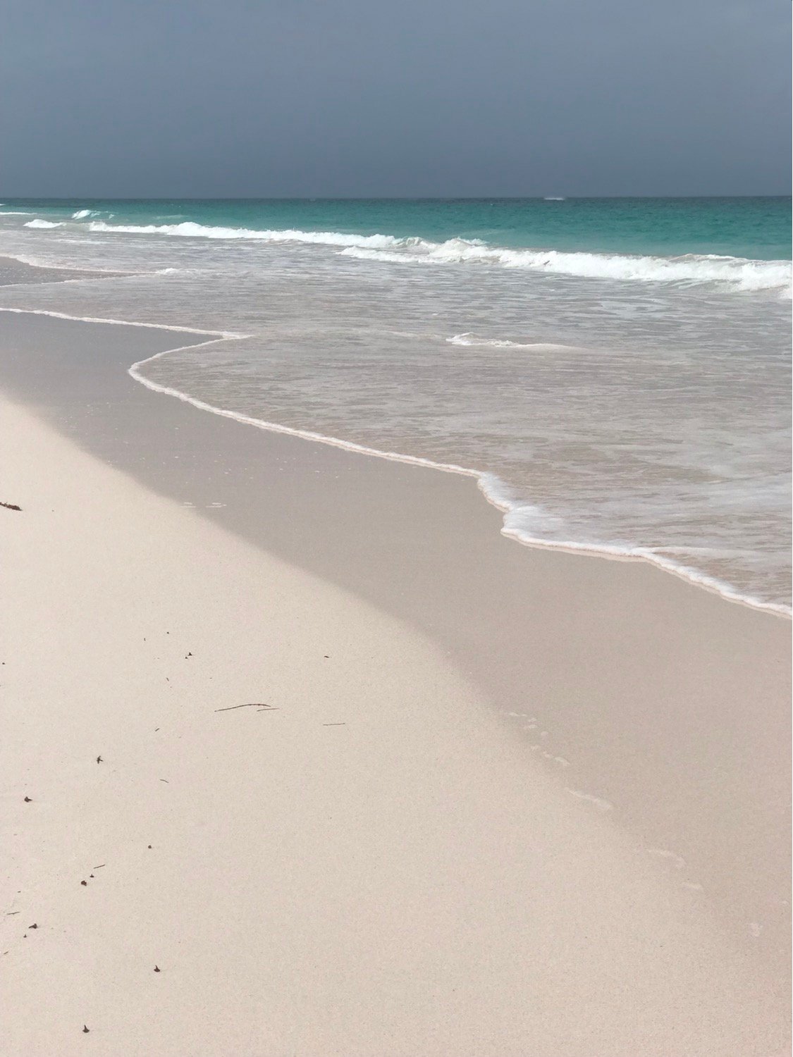 7ad216_42867898a5e14e2aacc4a6a7cb01f3a2~mv2